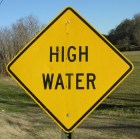 watercrop Jan 10 2015 007